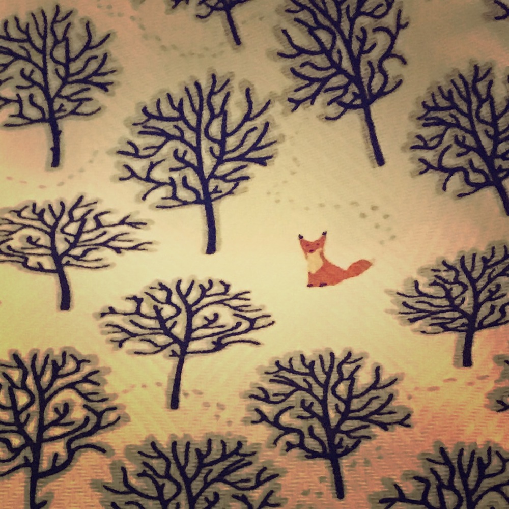 Fox 🦊 Kitchen Towels